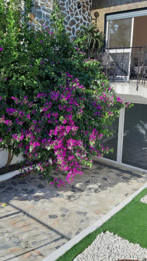 Colina Guesthouse - Braga Bagian luar foto