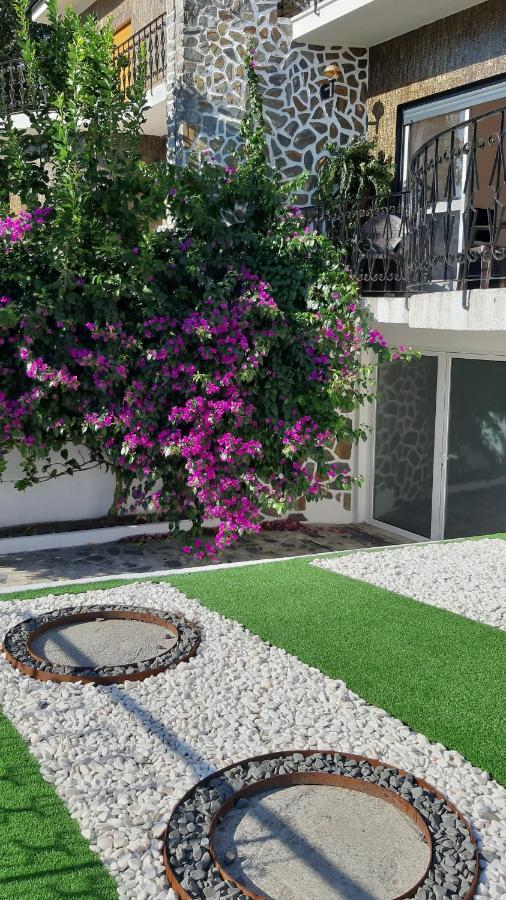 Colina Guesthouse - Braga Bagian luar foto